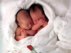 bébé
