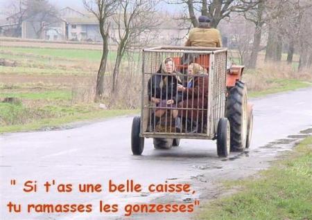 humour
