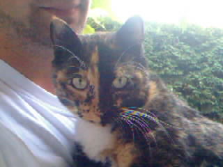 chat