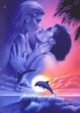 amour