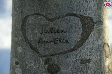 amour