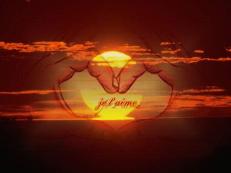 amour