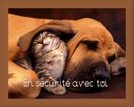 amour