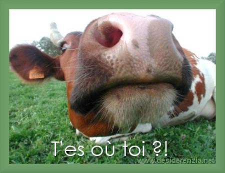 humour