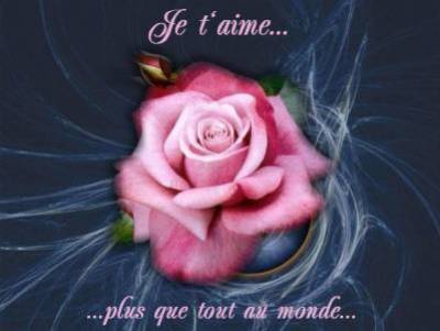 amour