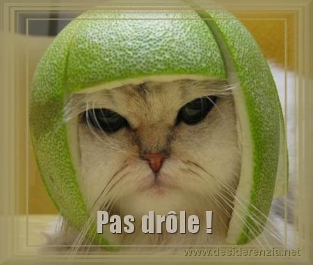 humour
