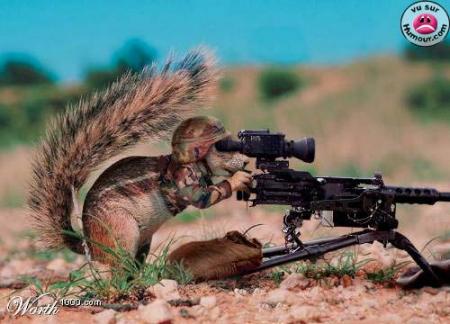 humour