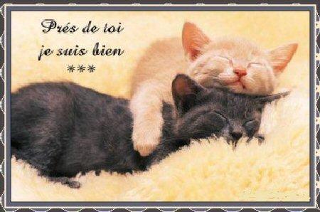 amour