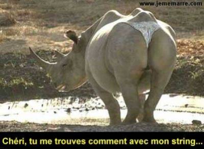 humour