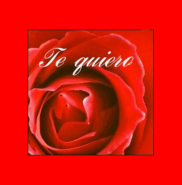 amour
