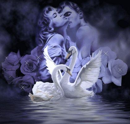 amour