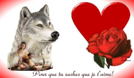 amour